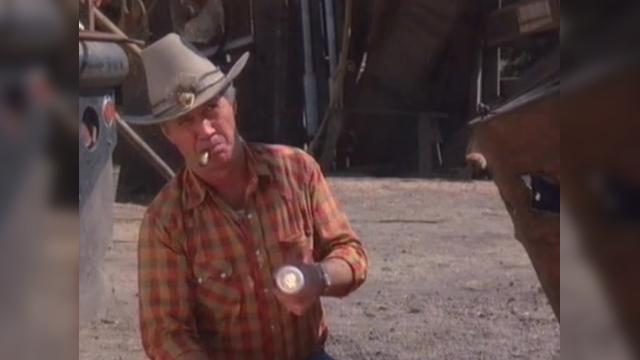 Thanksgiving - 9 серия, 2 сезона, сериала Удивительные истории (1985)