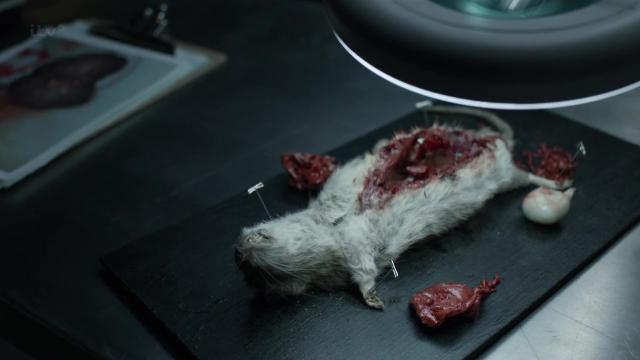 1 серия, 4 сезона, сериала Современный потрошитель (2009)