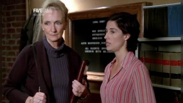 Assuming the Position - 5 серия, 2 сезона, сериала Защитник (2001)