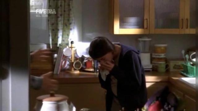 Big Coal - 2 серия, 3 сезона, сериала Защитник (2001)