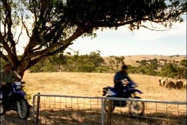 Сериал Дочери Маклеода (2001) 5 сезон 26 эпизод