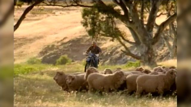 Down to Earth - 16 серия, 5 сезона, сериала Дочери Маклеода (2001)