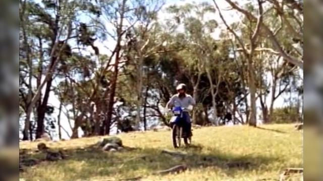 A Dog's Life - 13 серия, 8 сезона, сериала Дочери Маклеода (2001)