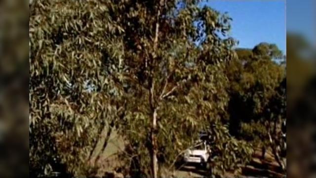 Silent Night - 32 серия, 7 сезона, сериала Дочери Маклеода (2001)