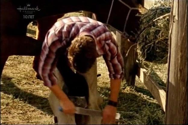 Сериал Дочери Маклеода (2001) 7 сезон 25 эпизод