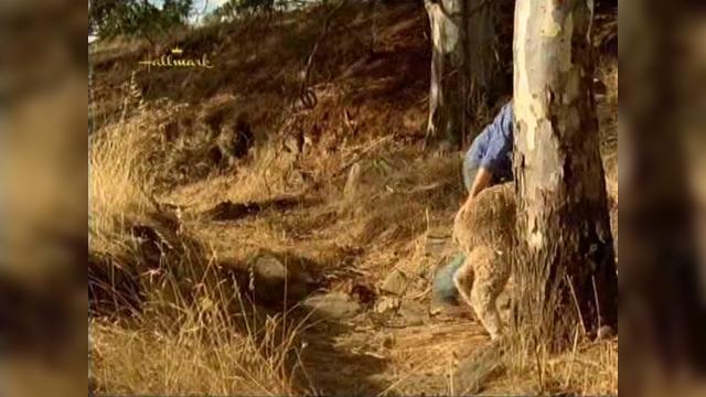 Three's a Crowd - 7 серия, 2 сезона, сериала Дочери Маклеода (2001)