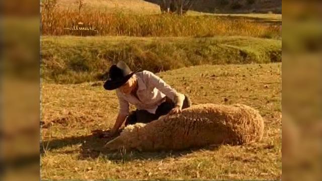 Brave J - 14 серия, 2 сезона, сериала Дочери Маклеода (2001)