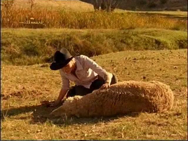 Сериал Дочери Маклеода (2001) 2 сезон 14 эпизод