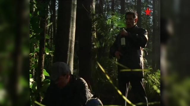 Hunting Armando - 10 серия, 1 сезона, сериала Под прикрытием (2001)