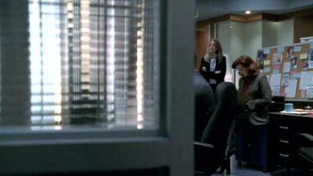 Loneliest Number - 5 серия, 1 сезона, сериала Особый отдел (2005)