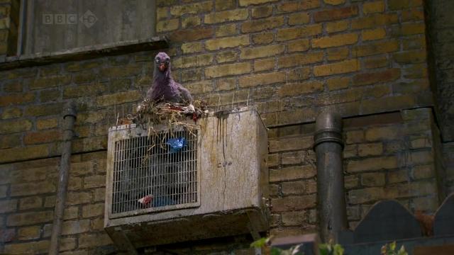 Marion the Superfluous Feed Character - 7 серия, 1 сезона, сериала Дворняги (2010)