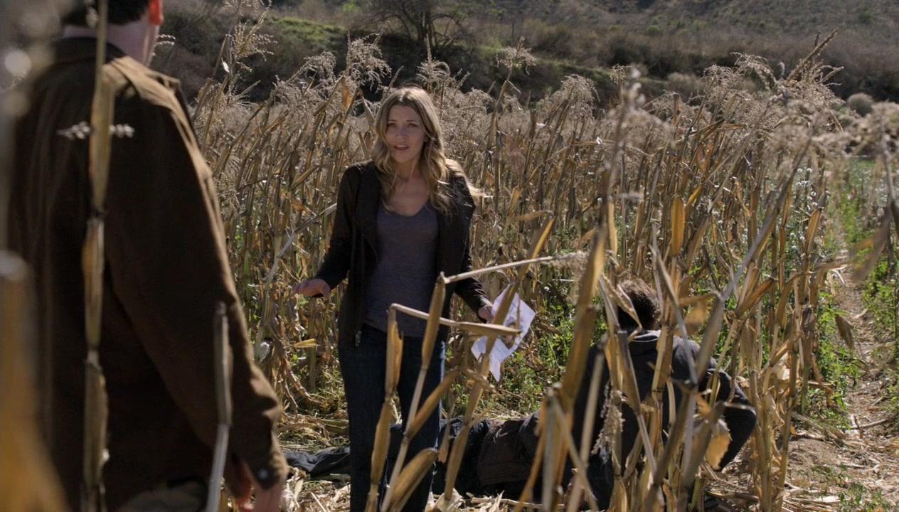 Сериал Событие (2010) 1 сезон 10 эпизод