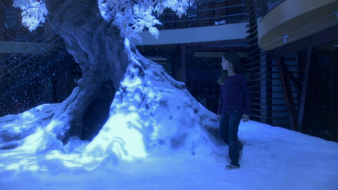 Сериал Кукольный дом (2009) 2 сезон 10 эпизод
