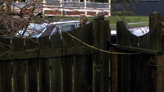 Things We Lock Away - 12 серия, 1 сезона, сериала Каприка (2009)