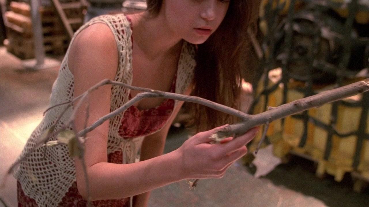 Сериал Светлячок (2002) 1 сезон 14 эпизод