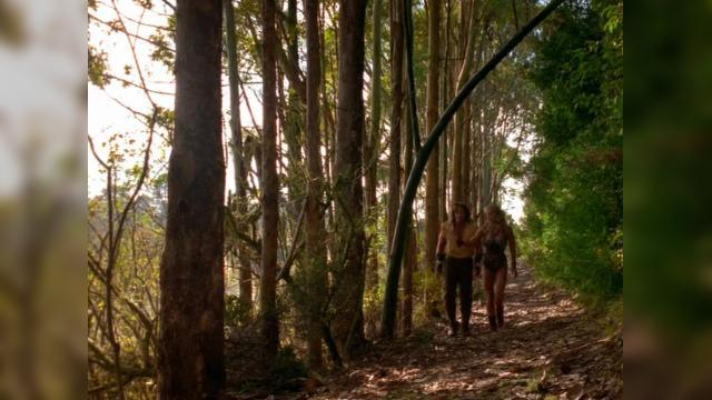 If I Had A Hammer - 9 серия, 4 сезона, сериала Удивительные странствия Геракла (1995)