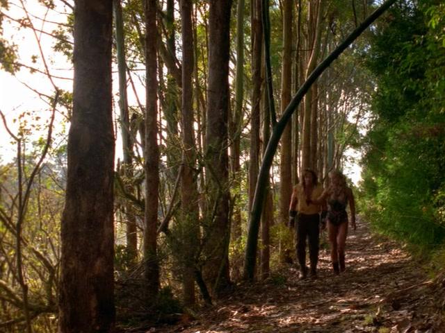 Сериал Удивительные странствия Геракла (1995) 4 сезон 9 эпизод