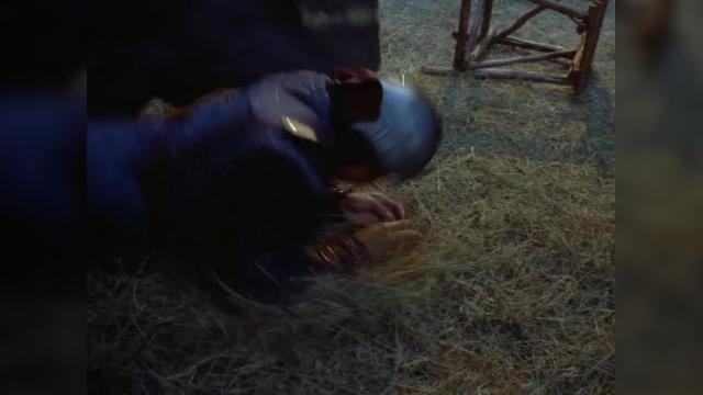 Long Live the King - 11 серия, 3 сезона, сериала Удивительные странствия Геракла (1995)