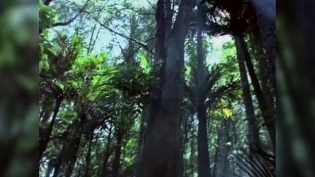 Mercenary - 1 серия, 3 сезона, сериала Удивительные странствия Геракла (1995)