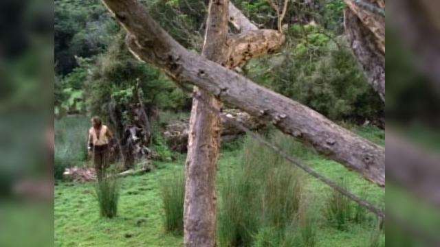 Let the Games Begin - 16 серия, 2 сезона, сериала Удивительные странствия Геракла (1995)