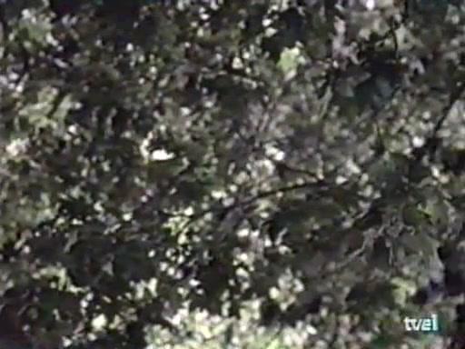 Сериал C-16: ФБР (1997) 1 сезон 2 эпизод