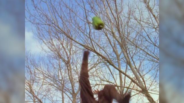 Chariots of War - 2 серия, 1 сезона, сериала Зена – королева воинов (1995)