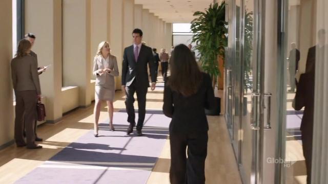 Pilot - 1 серия, 1 сезона, сериала В паутине закона (2010)