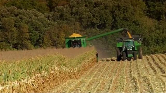 Corn - 1 серия, 1 сезона, сериала Интересно обо всем (2008)