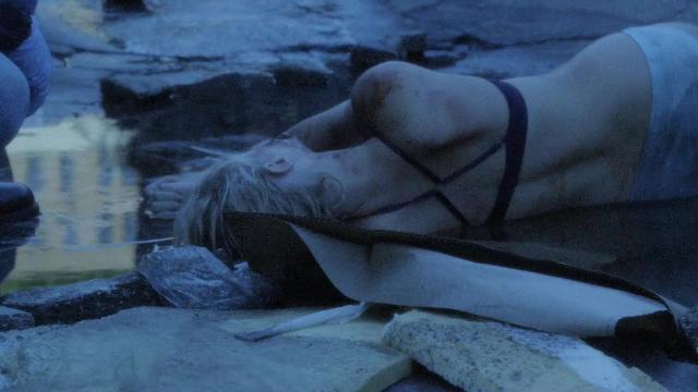 Strays - 11 серия, 1 сезона, сериала Мыслить как преступник: Поведение подозреваемого (2011)