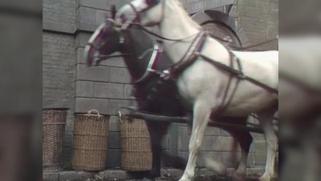 Эпизод #1.11 - 11 серия, 1 сезона, сериала Записки Пиквикского клуба (1985)