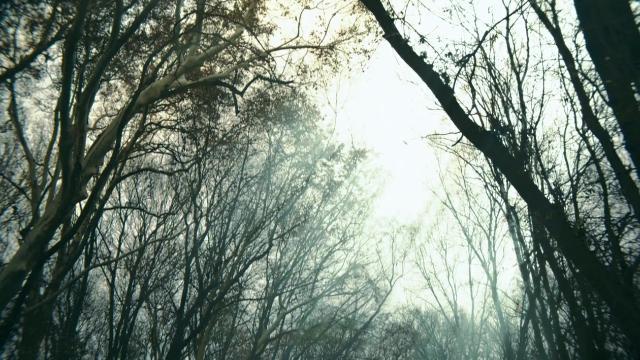 Anarchy - 1 серия, 1 сезона, сериала Столпы Земли (2010)