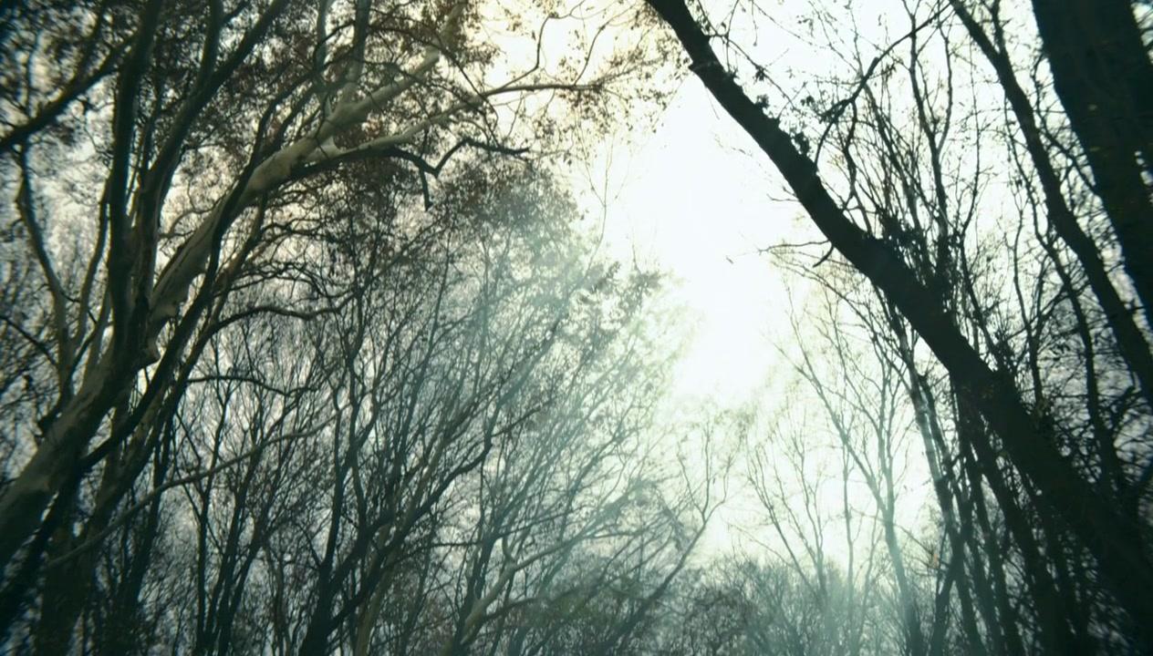 Сериал Столпы Земли (2010) 1 сезон 1 эпизод