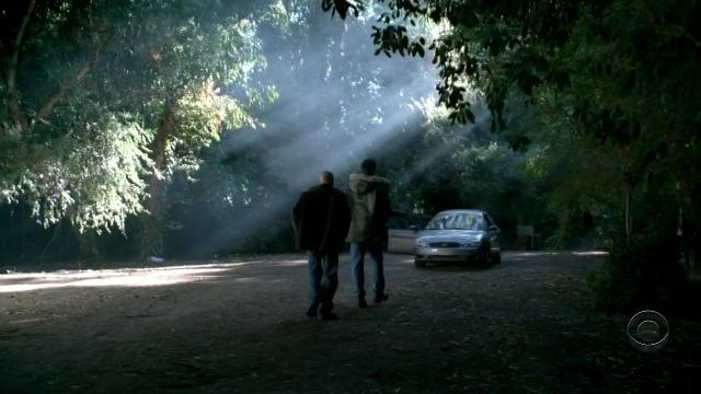 Spiders - 13 серия, 5 сезона, сериала Детектив Раш (2003)
