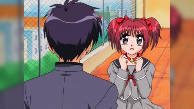 Two Becoming Friends? Pudding in Imminent Danger! - 40 серия, 1 сезона, сериала Токио Мяу Мяу (2002)