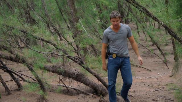 Swamp Thing - 10 серия, 2 сезона, сериала Пляжный коп (2010)