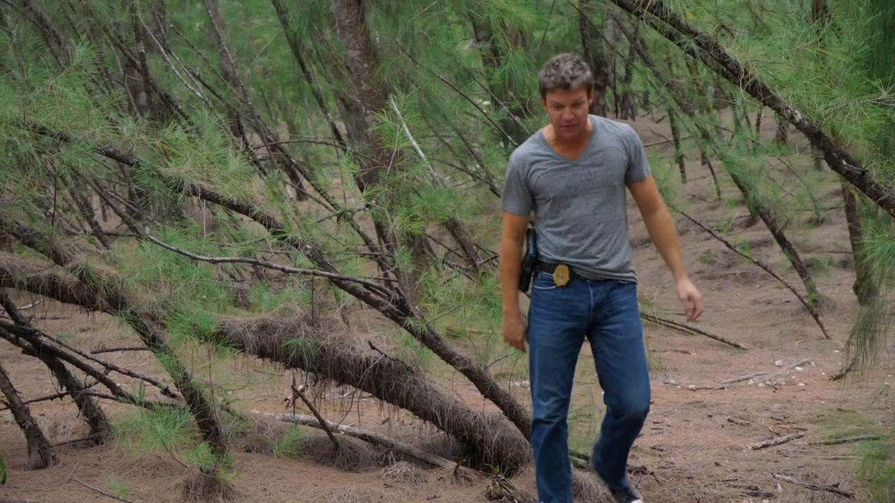 Сериал Пляжный коп (2010) 2 сезон 10 эпизод