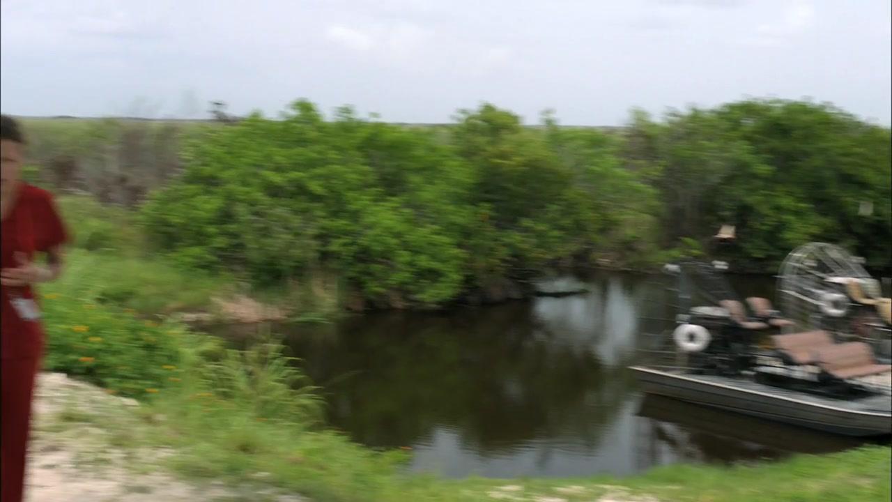 Сериал Пляжный коп (2010) 2 сезон 13 эпизод