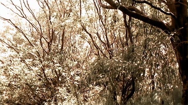 What Was Lost Part II: Resurrection - 3 серия, 4 сезона, сериала Далеко во Вселенной (1999)