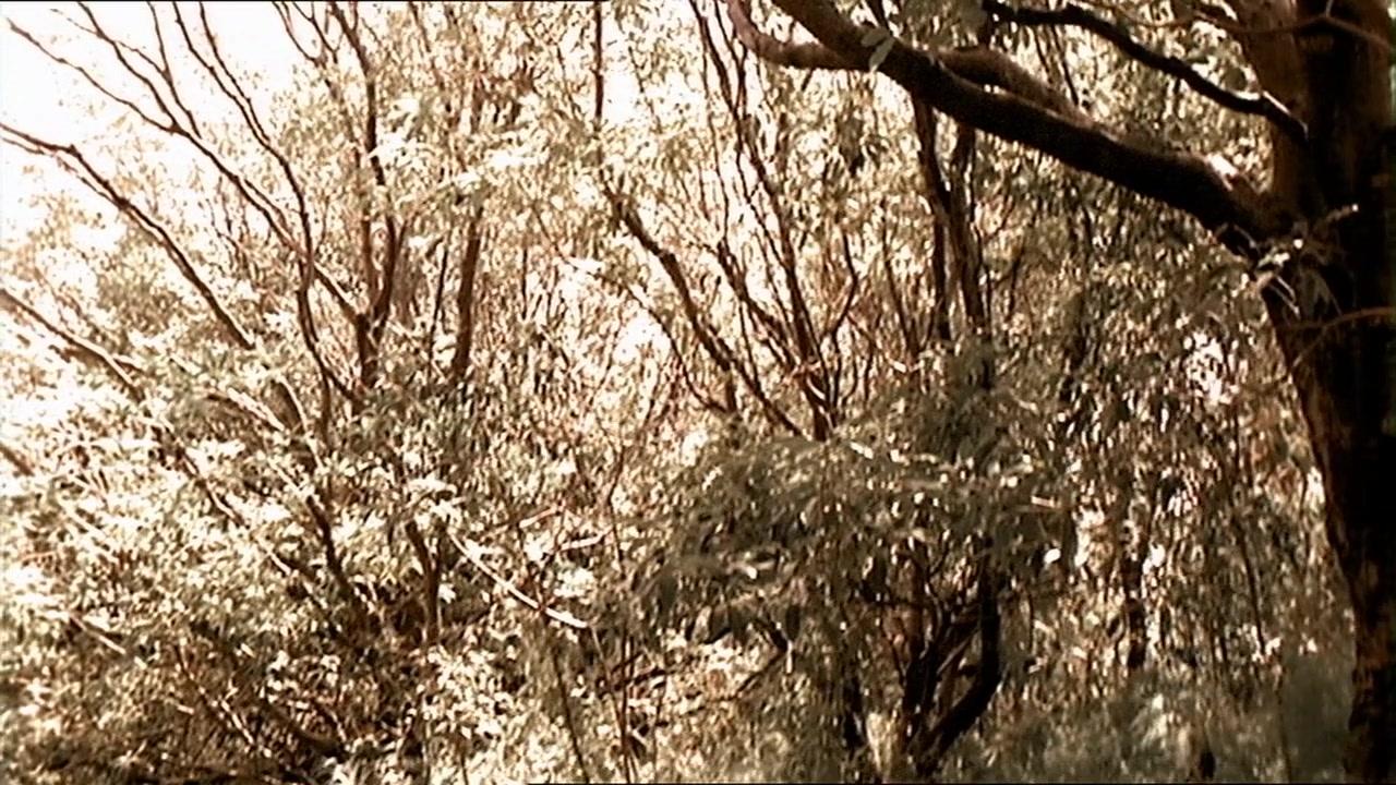 Сериал Далеко во Вселенной (1999) 4 сезон 3 эпизод