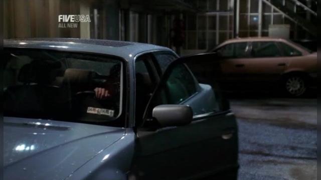 The Watchers - 17 серия, 3 сезона, сериала Защитник (2001)