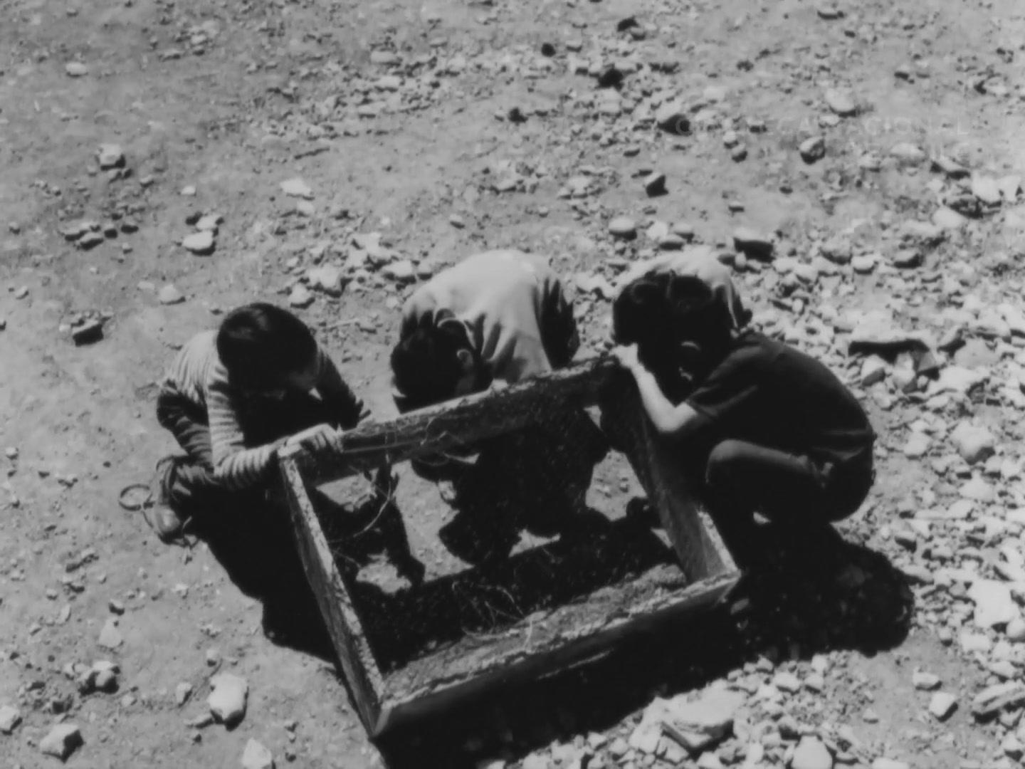 Фильм Долгий путь (1967)