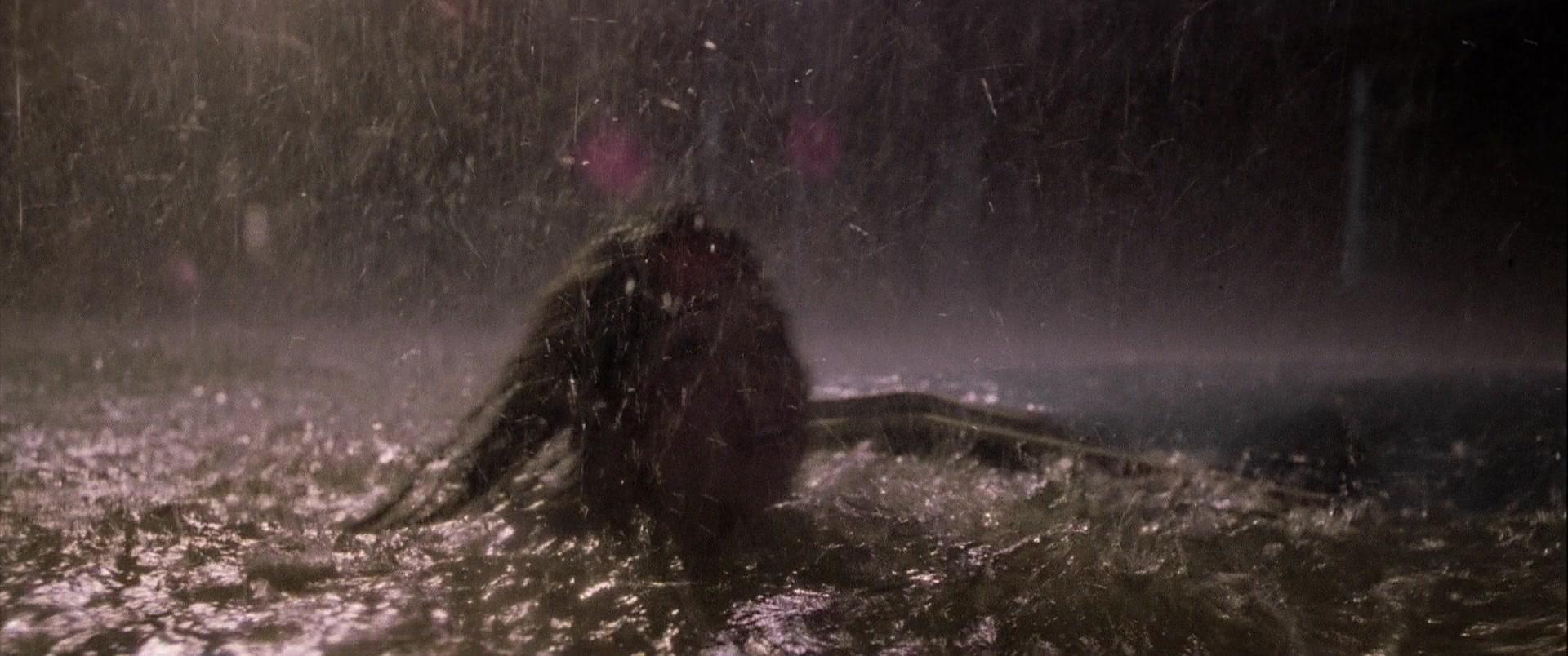 Фильм Ливень (1997)