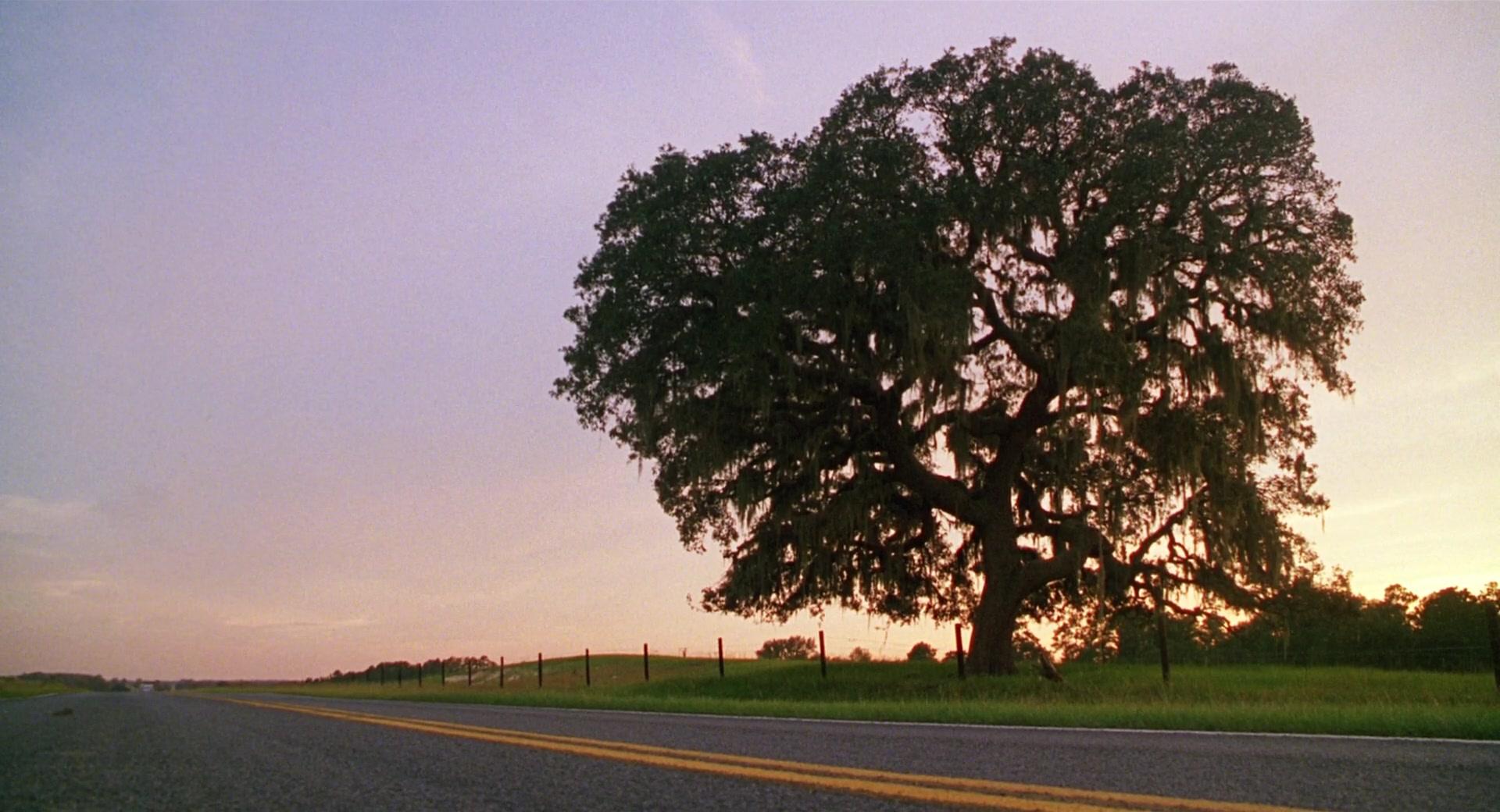 Фильм Джиперс Криперс (2001)