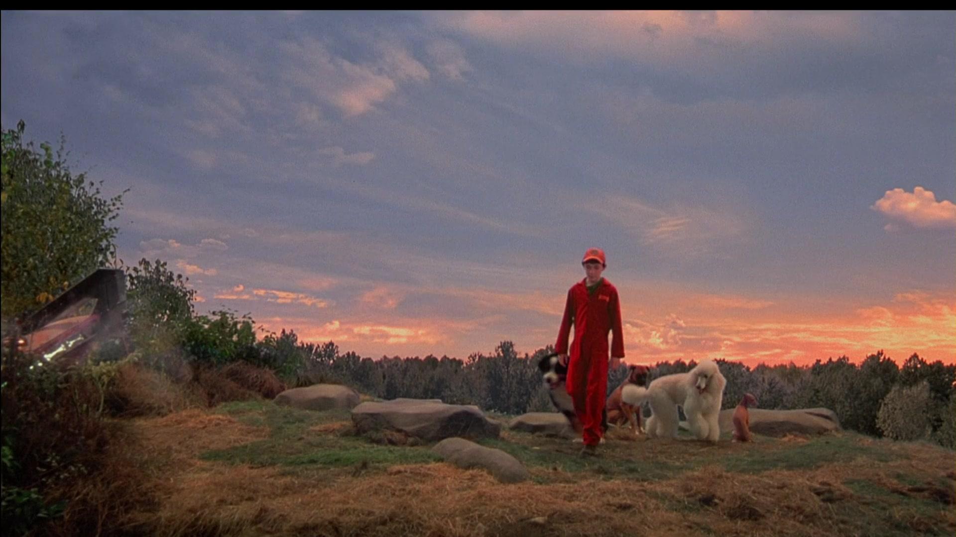 Фильм Лохматый спецназ (2003)