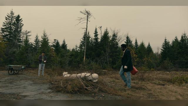 Не видеть лес за деревьями - 8 серия, 2 сезона, сериала Извне (2022)