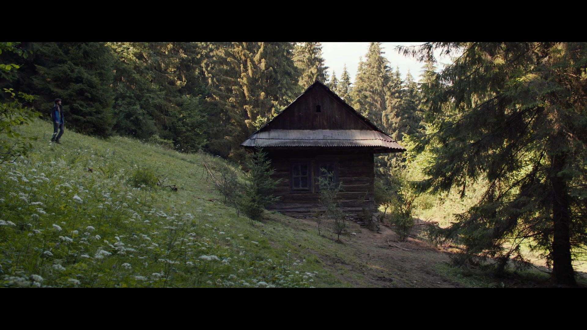 Фильм Ночная сирена (2022)