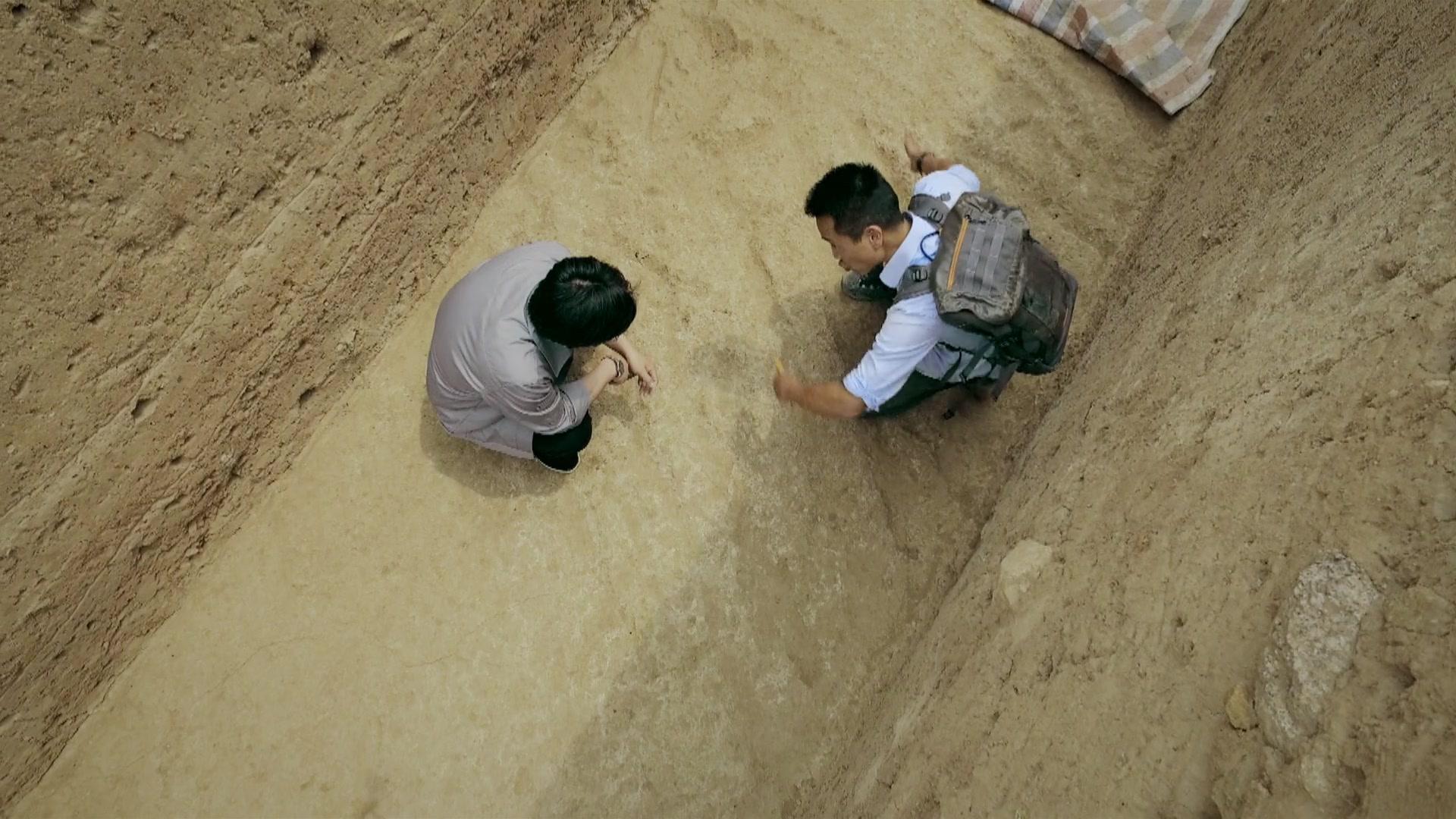 Фильм Первый император: Секреты китайской гробницы (2016)