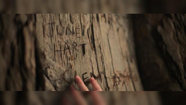 Part 2: Wattle - 2 серия, 1 сезона, сериала Потерянные цветы Элис Харт (2023)