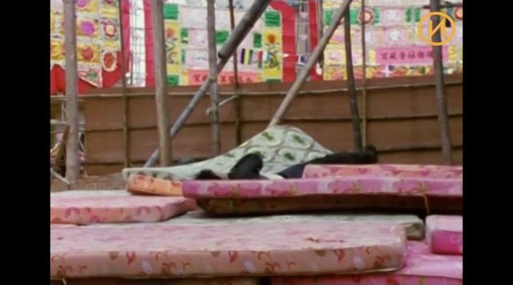 Фильм Джеки Чан: Юмор, слава и кунг-фу (2021)