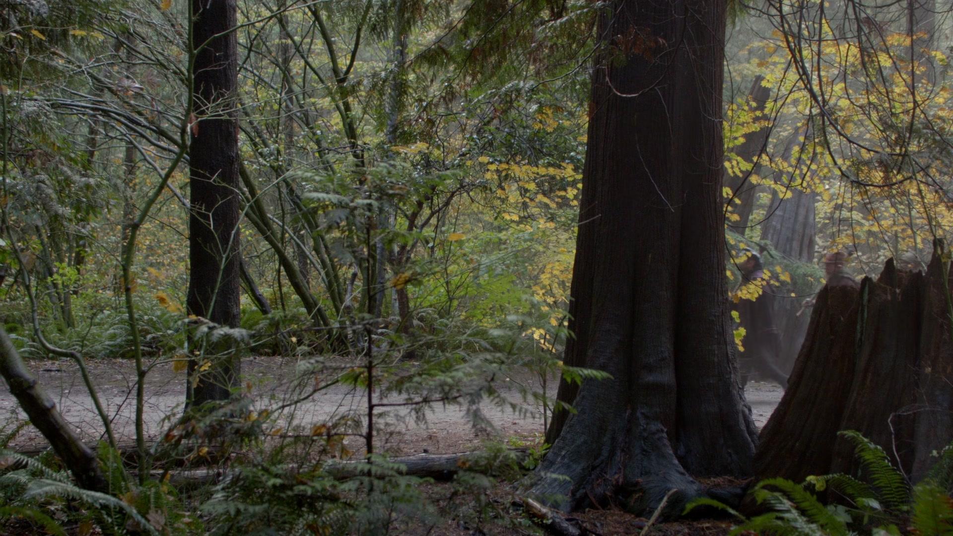 Сериал Однажды в сказке (2011) 6 сезон 10 эпизод